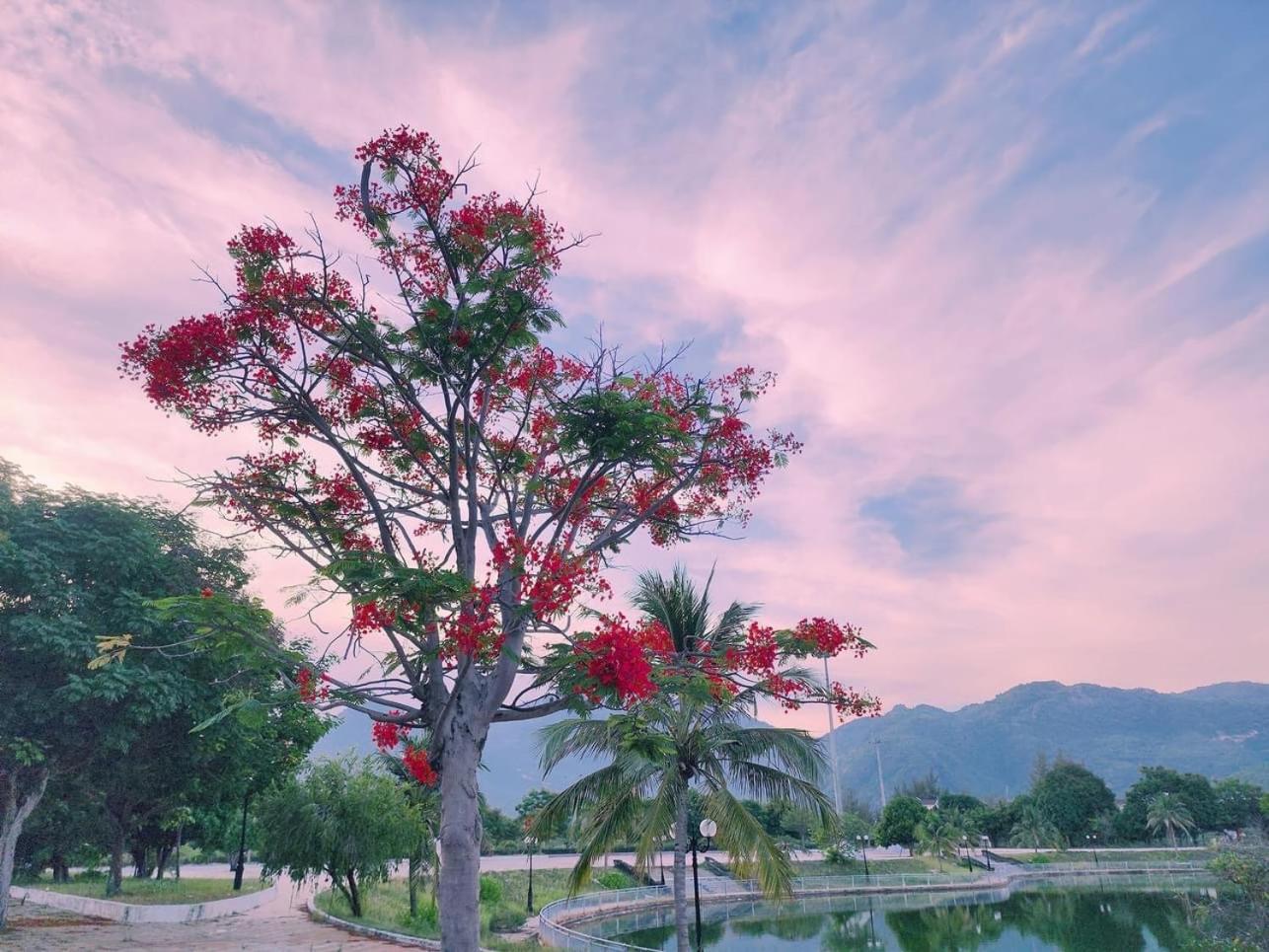 Moc Homestay- Near Bai Dai Beach Cam Lam Luaran gambar