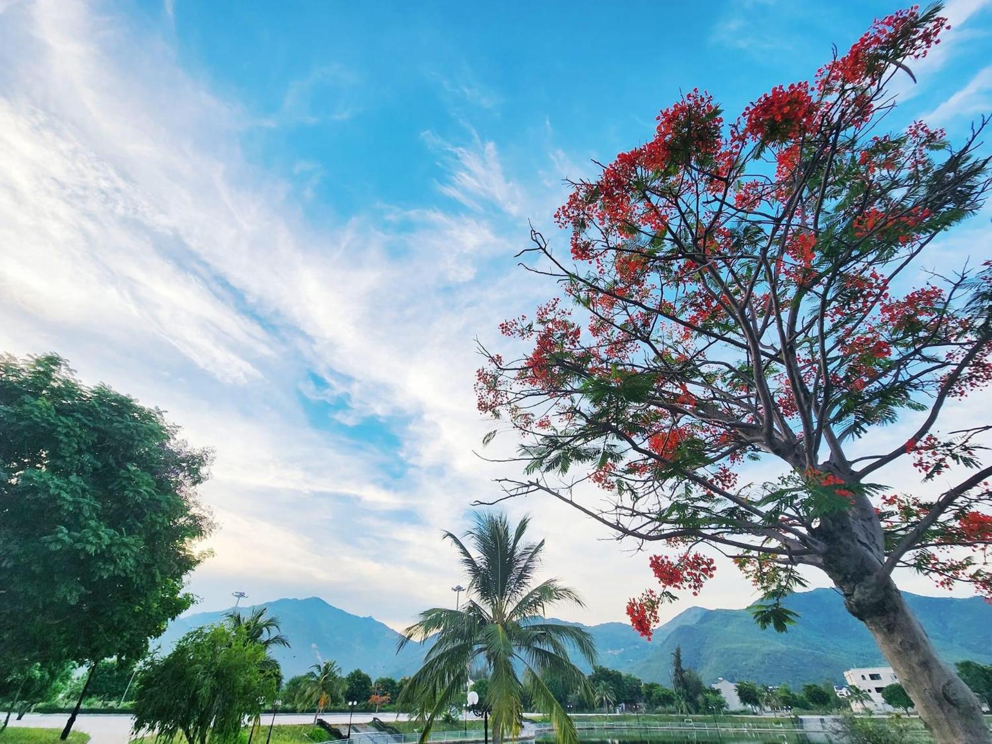 Moc Homestay- Near Bai Dai Beach Cam Lam Luaran gambar