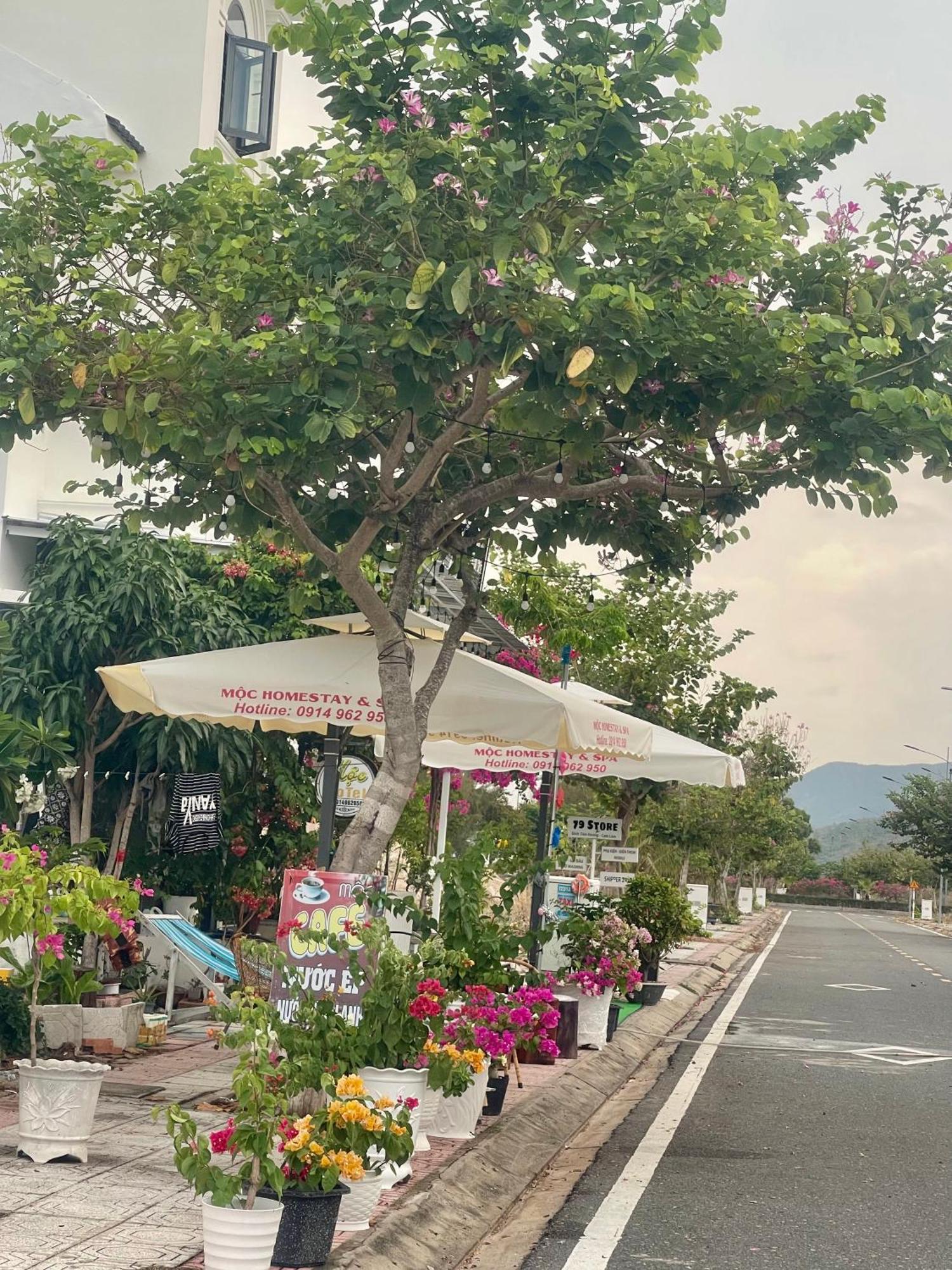 Moc Homestay- Near Bai Dai Beach Cam Lam Luaran gambar